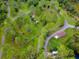 Aerial view of community with lots of lush trees, walking paths, and amenities at 9314 Heritage Oak Ct, Tampa, FL 33647