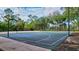 A well-maintained basketball court with volleyball net and green landscaping at 9314 Heritage Oak Ct, Tampa, FL 33647