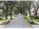 Charming street view featuring mature trees lining the road, sidewalks, and well-manicured lawns creating a welcoming atmosphere at 9314 Heritage Oak Ct, Tampa, FL 33647
