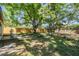Expansive backyard with mature trees and a wooden fence creating a private outdoor space at 1104 S Lois Ave, Tampa, FL 33629