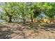 Wide backyard featuring lush grass, mature trees, and a wooden fence, providing a serene outdoor retreat at 1104 S Lois Ave, Tampa, FL 33629