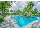 Resort-style pool with palm trees, lounge chairs, and turquoise water at 14885 Caravan Ave, Odessa, FL 33556