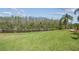 Expansive backyard view with lush green grass, water feature, and wooded backdrop at 19530 Barrie Acres Trl, Odessa, FL 33556