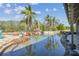 Backyard pool featuring rock features, and tropical palm trees create a private oasis at 19530 Barrie Acres Trl, Odessa, FL 33556