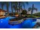 A unique freeform pool with an island, palm trees and an outdoor fire pit create the ideal spot for relaxation at 19530 Barrie Acres Trl, Odessa, FL 33556