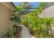 Landscaped walkway featuring lush greenery and a serene ambiance at 20315 Mid Ct, Lutz, FL 33558