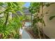Landscaped walkway featuring lush greenery leading to screened pool area at 20315 Mid Ct, Lutz, FL 33558