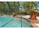 Screened in pool with lovely tile detail, brick accents, and decorative potted plants at 20315 Mid Ct, Lutz, FL 33558
