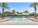 A beautiful community pool surrounded by palm trees and cabanas, offering a relaxing resort-style experience at 2468 Coco Palm Cir, Wesley Chapel, FL 33543
