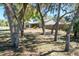 Home nestled among mature trees, providing shade and privacy in a serene neighborhood at 275 S Highland Ave, Tarpon Springs, FL 34689