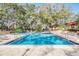 Community pool with a 6 ft depth surrounded by lush greenery and comfortable lounge chairs at 3076 Eastland Blvd # 305, Clearwater, FL 33761