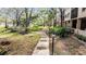 Tree-lined walkway with mature trees and lush landscaping along the sides at 3076 Eastland Blvd # 305, Clearwater, FL 33761