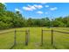 Fully fenced dog park with green grass, trees and plenty of space for your dogs to run and play on a beautiful day at 3226 Cordoba Ranch Blvd, Lutz, FL 33559