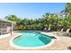 Beautiful backyard featuring a sparkling pool, lush greenery, and comfortable lounge chairs at 3818 W San Miguel St, Tampa, FL 33629