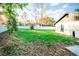 Expansive backyard showcasing lush green grass, mature trees, and a privacy fence at 12335 Yellow Rose Cir, Riverview, FL 33569