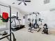 Large home gym with workout equipment, ceiling fan, and a mirrored wall for training at 2327 Shirecrest Cove Way, Lutz, FL 33558