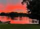 Sunset view of the lake with dock, surrounded by grass and trees, showcasing a vibrant, picturesque scenery at 2327 Shirecrest Cove Way, Lutz, FL 33558