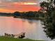 Picturesque lake view with a private dock and a vibrant sunset reflecting on the water at 2327 Shirecrest Cove Way, Lutz, FL 33558