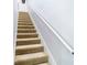 Carpeted staircase with a white handrail against a freshly painted wall at 2327 Shirecrest Cove Way, Lutz, FL 33558