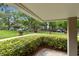 A treelined parking lot view from under the building's overhang at 36750 Us 19 N # 08102, Palm Harbor, FL 34684