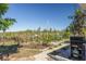 Landscaped backyard features stone path, lush greenery, wooden deck, and outdoor grill at 12821 5Th Isle, Hudson, FL 34667