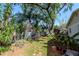 Image of backyard featuring lush tropical landscaping at 201 S Treasure E Dr, Tampa, FL 33609