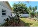 Fenced backyard with tropical foliage and grassy lawn at 201 S Treasure E Dr, Tampa, FL 33609