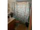 This bathroom boasts an artistic floral shower curtain and is complemented by a well-maintained vanity and fixtures at 2110 Oakley S Ave, St Petersburg, FL 33712