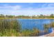 Picturesque lake surrounded by lush vegetation and neighborhood homes at 5073 Stone Harbor Cir, Wimauma, FL 33598
