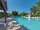 Expansive pool area with lounge chairs, lush landscaping, and shaded pergolas creating a relaxing getaway at 523 Bayport Way # 523, Longboat Key, FL 34228