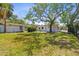 Expansive backyard featuring a mature tree and partial fencing, offering a private outdoor space at 711 19Th S Ave, St Petersburg, FL 33705