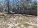 Fenced backyard with established trees, offering a blend of shade and sunlight for outdoor enjoyment at 10240 Meadow Wren Ave, Weeki Wachee, FL 34613