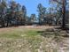 Overgrown private backyard featuring mature trees, ready for your creativity to landscape the yard of your dreams at 10240 Meadow Wren Ave, Weeki Wachee, FL 34613