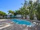 Backyard pool with brick paved patio, ladder, and tropical landscaping at 16109 3Rd E St, Redington Beach, FL 33708