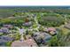 Expansive aerial view showcases the property's setting within a lush landscape and desirable neighborhood at 19005 Cour Ests, Lutz, FL 33558