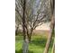 Grassy backyard with mature trees and partial view of rear wall at 30049 Emmetts Ct, Wesley Chapel, FL 33543