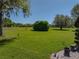 Expansive backyard featuring lush green grass and mature trees at 34201 Kentucky Derby Pl, Dade City, FL 33525