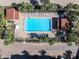 Beautiful overhead shot of pool with lounge chairs surrounded by trees at 553 Haven Point Dr, Treasure Island, FL 33706