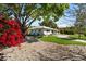 Charming single-story home with a beautiful front yard featuring mature trees and vibrant bougainvillea at 6531 2Nd N Ave, St Petersburg, FL 33710