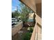 View of a small yard with fencing and trees at 7526 Needle Leaf Pl # 30, Tampa, FL 33617