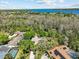 Aerial view of the property showcasing the surrounding trees and the home's private pool at 3267 Westcott Ct, Palm Harbor, FL 34684