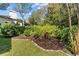 Landscaped backyard with rich mulch, a trimmed lawn, and privacy provided by mature hedges at 3267 Westcott Ct, Palm Harbor, FL 34684