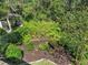A landscaped garden bed with a variety of flowers and plants nestled amongst mature trees at 3267 Westcott Ct, Palm Harbor, FL 34684