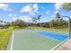 Community basketball court with green and blue surface offering recreational space in a scenic park setting at 3267 Westcott Ct, Palm Harbor, FL 34684