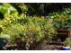 Lush garden featuring vibrant blue and orange flowers, enhancing the home's natural beauty at 3267 Westcott Ct, Palm Harbor, FL 34684