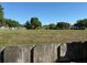 Backyard view, showcasing a large grassy area and a classic wooden fence at 520 Oak Creek Dr, Brandon, FL 33511