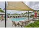 Relaxing community pool featuring lounge seating, palm trees, and shade coverings at 1022 Orchard Arbour Ct, Tampa, FL 33613