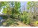 Lush backyard bordering a tranquil pond, framed by mature trees and greenery at 15814 Hampton Village Dr, Tampa, FL 33618