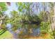 Scenic view of a calm pond reflecting trees, creating a peaceful natural setting at 15814 Hampton Village Dr, Tampa, FL 33618