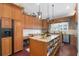 Kitchen with hardwood floors, a center island, and wooden cabinets at 17503 Edinburgh Dr, Tampa, FL 33647